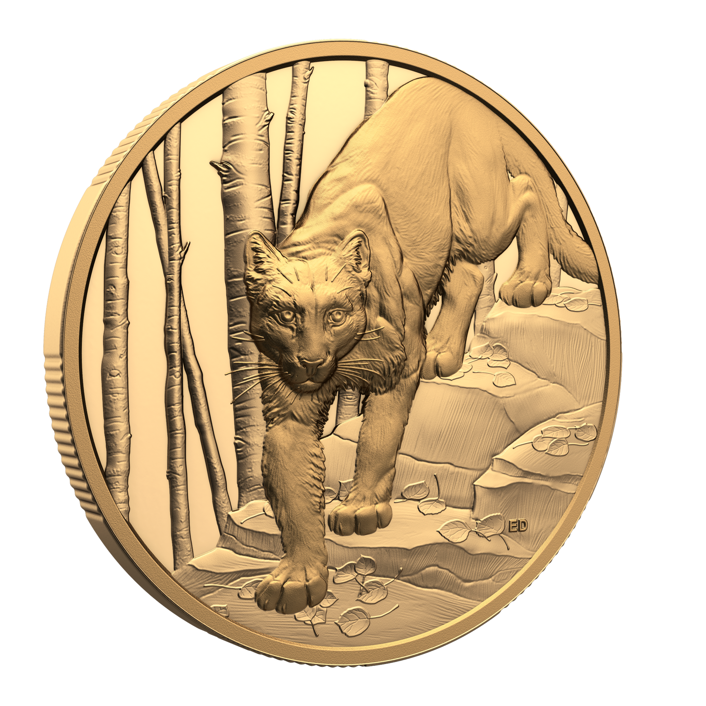 2024 Canada $200 Great Hunters: Cougar Ultra High Relief 1 oz. Pure Gold (No Tax)