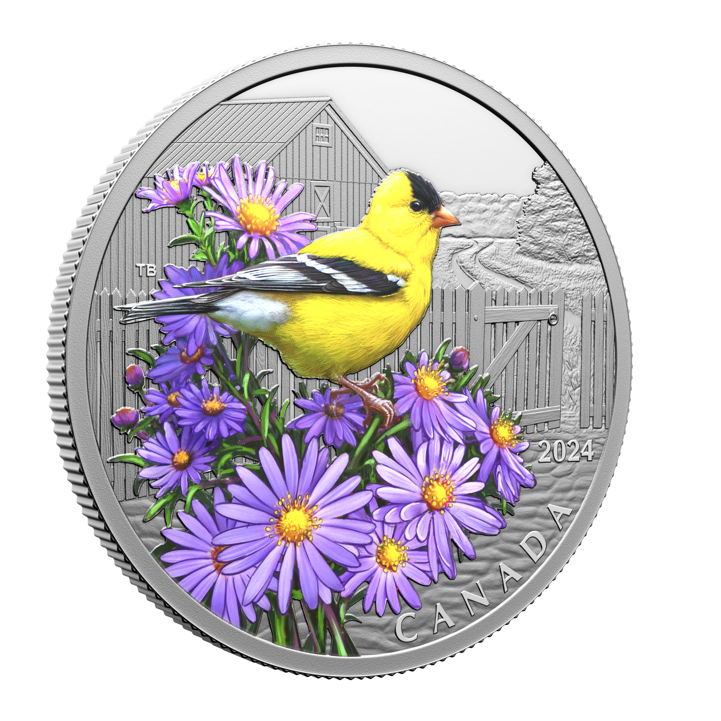 2024 Canada $20 Colourful Birds: American Goldfinch Fine Silver (No Tax)