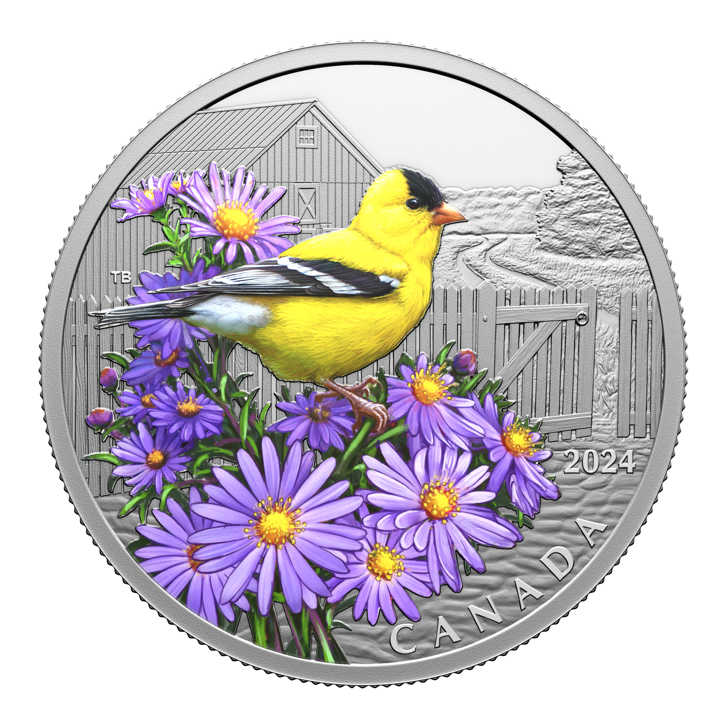 2024 Canada $20 Colourful Birds: American Goldfinch Fine Silver (No Tax)