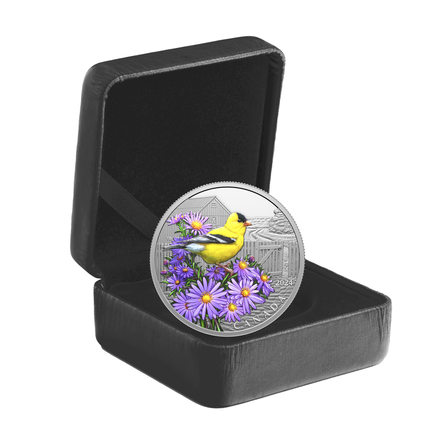 2024 Canada $20 Colourful Birds: American Goldfinch Fine Silver (No Tax)