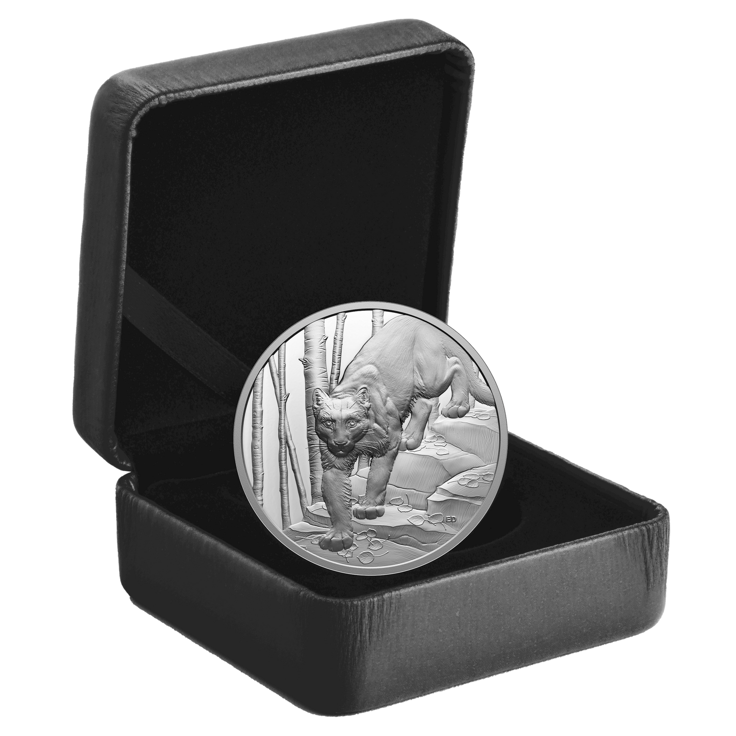 2024 Canada $20 Great Hunters: Cougar Ultra High Relief Fine Silver (No Tax)
