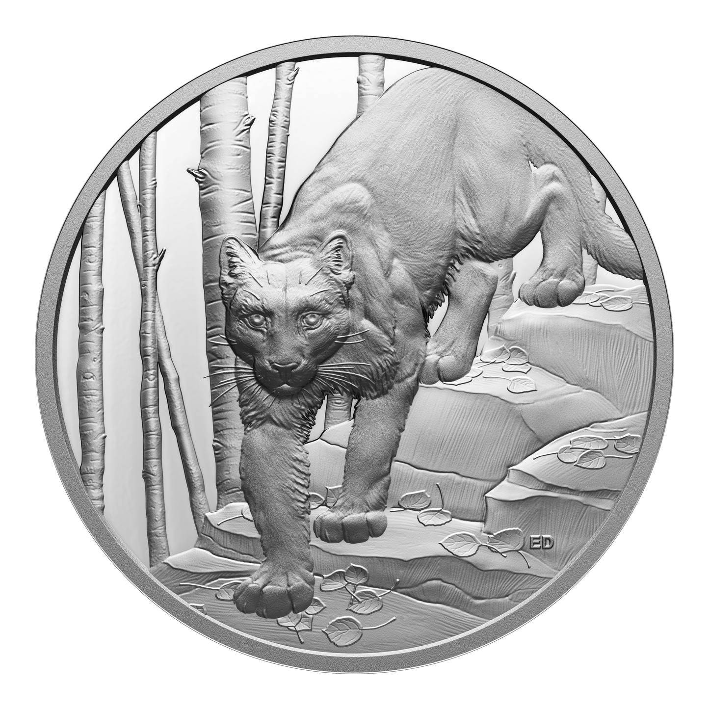 2024 Canada $20 Great Hunters: Cougar Ultra High Relief Fine Silver (No Tax)