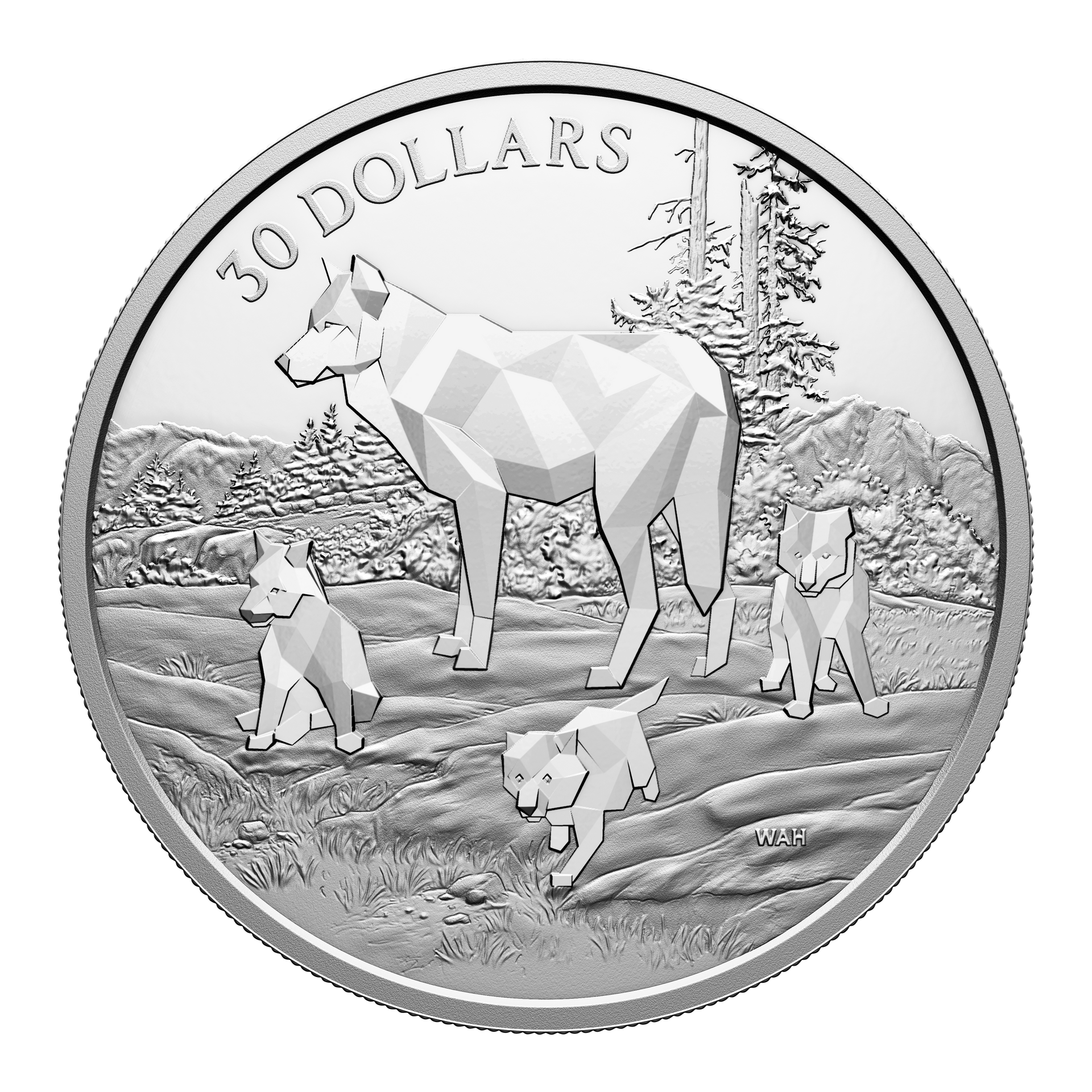 2024_30MultifacetedAnimalFamil