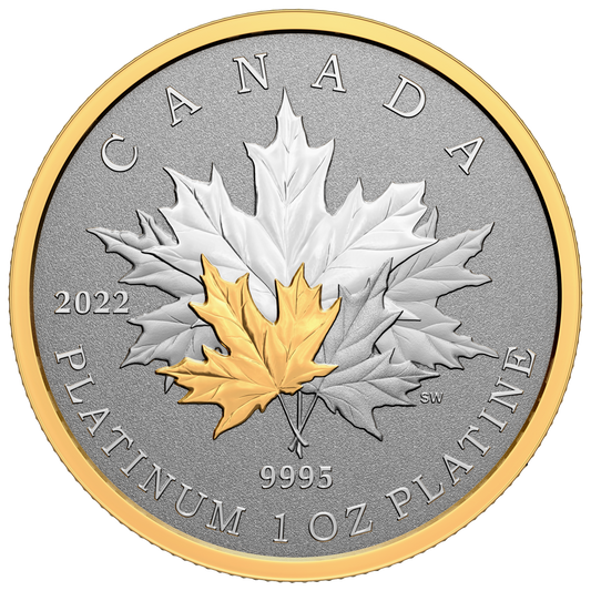2022 Canada $300 Maple Leaf Forever Pure Platinum Coin (No Tax)