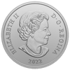 2022 Canada $20 Her Majesty Queen Elizabeth II's Diamond Diadem Fine Silver Coin