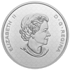 2022 Canada 50-cent The Bigger Picture: The Coat of Arms 5oz. Fine Silver (No Tax)