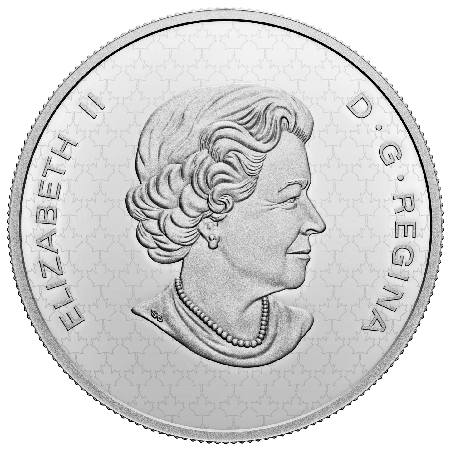 2022 Canada 50-cent The Bigger Picture: The Coat of Arms 5oz. Fine Silver (No Tax)