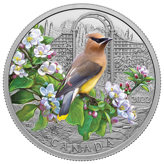 2022 Canada $20 Colourful Birds: Cedar Waxwing Fine Silver (No Tax)