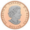 RDC 2023 Canada $1 Peace Dollar Rose Gold Plated Fine Silver (No Tax) scratched