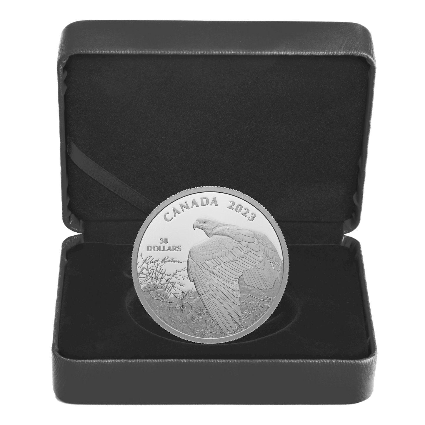 2023 Canada $30 Vantage Point - Bald Eagle by Robert Bateman Fine Silver (No Tax)