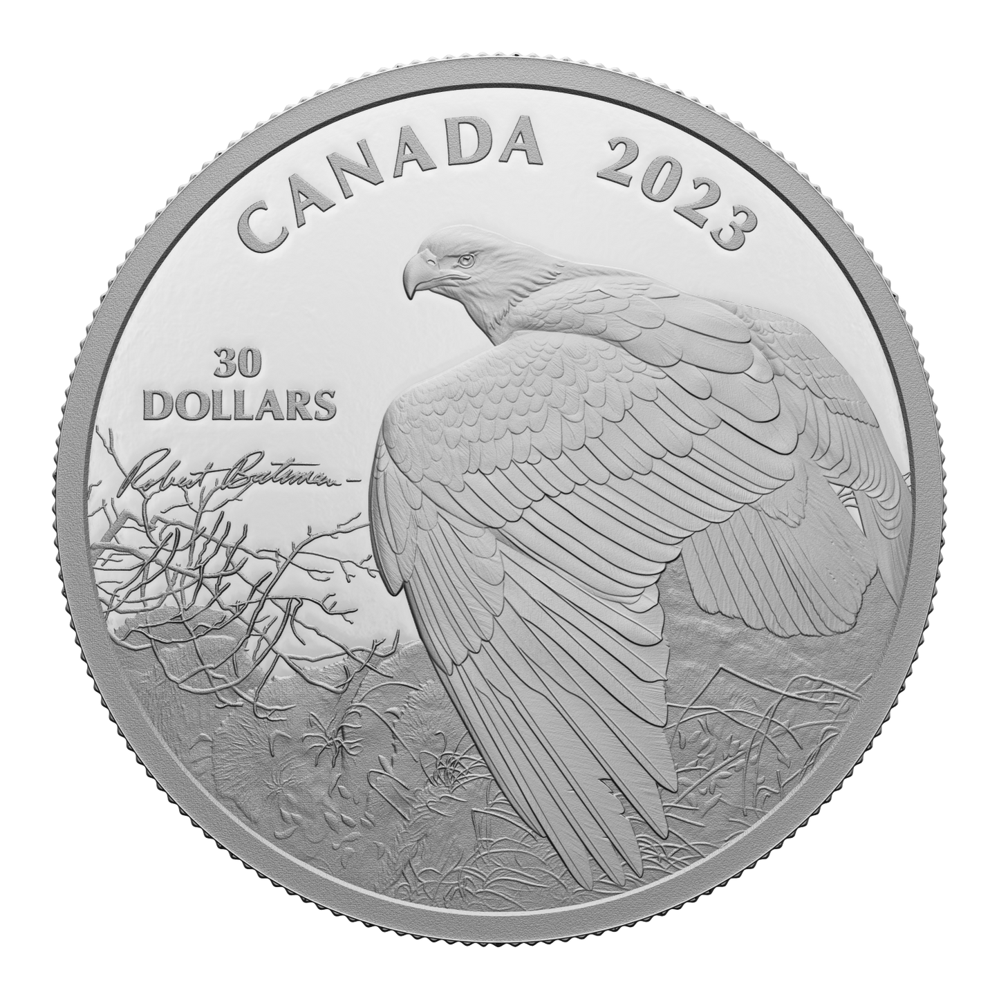2023 Canada $30 Vantage Point - Bald Eagle by Robert Bateman Fine Silver (No Tax)
