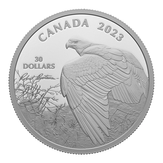 2023 Canada $30 Vantage Point - Bald Eagle by Robert Bateman Fine Silver (No Tax)