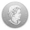 2024 Canada $250 Pulsating Maple Leaf Fine Silver Kilo Coin (No Tax)