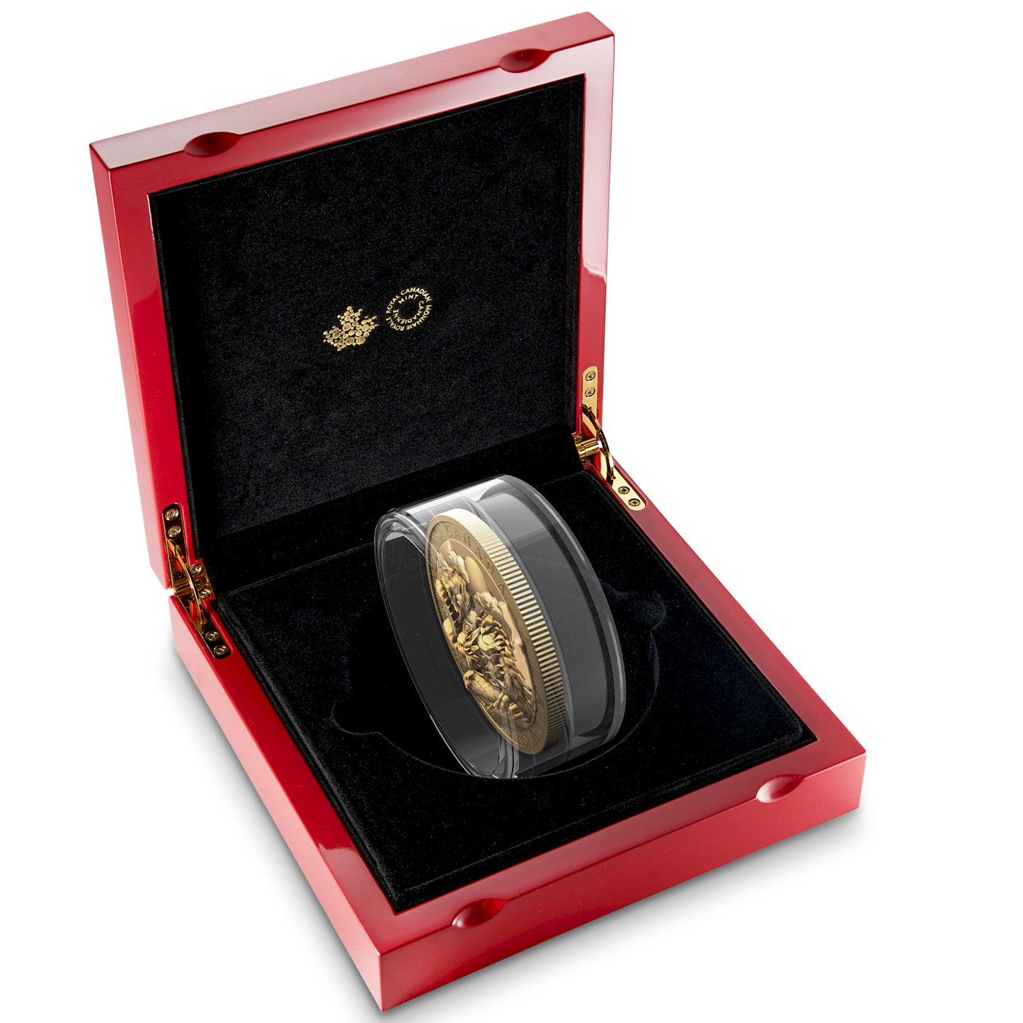 2024 Canada $350 Year of the Dragon EHR Pure Gold (No Tax)
