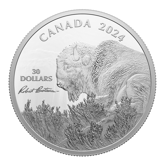 2024 Canada $30 Weather Watch - Bison by Robert Bateman Fine Silver (No Tax)