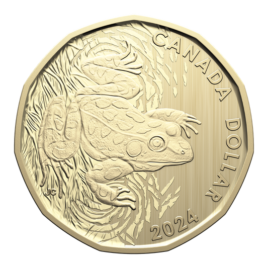 2024 Leopard Frog Loon Dollar Specimen