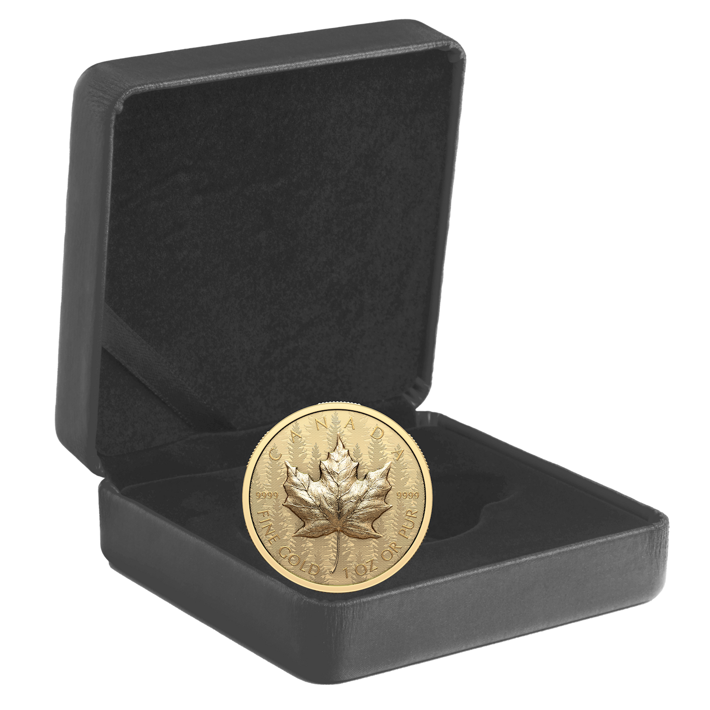 2024 Canada $200 Ultra-High Relief 1oz. GML Pure Gold (No Tax)