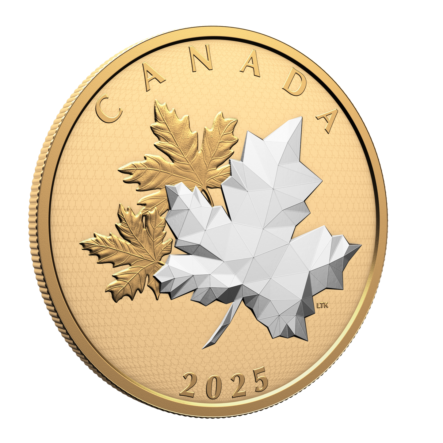 2025 Canada $50 Maple Leaves in Motion 5oz. Fine Silver (No Tax)