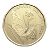 2025 Canada Conservation Stories: Monarch Butterfly Specimen Set