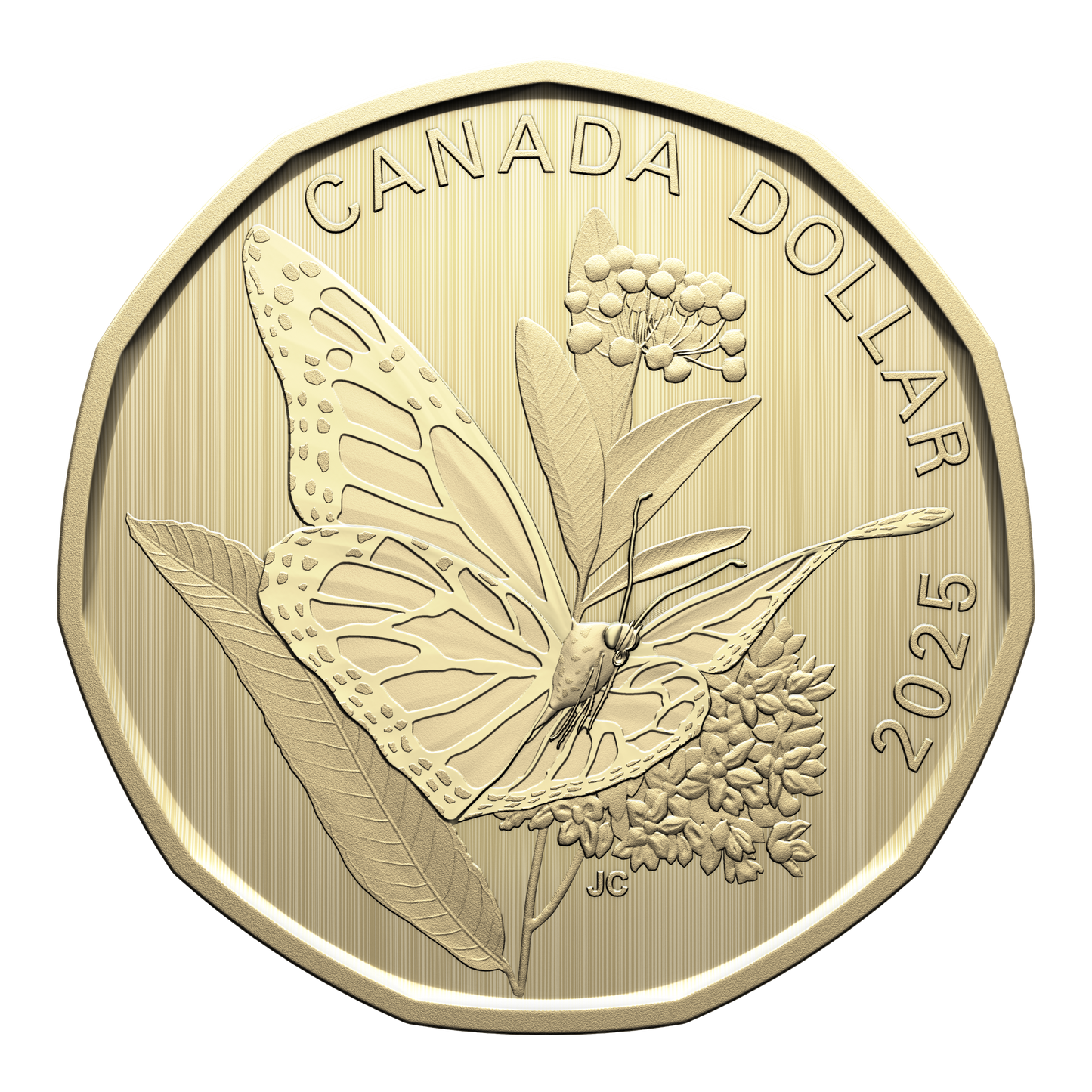 2025 Canada Conservation Stories: Monarch Butterfly Specimen Set