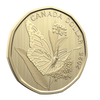 2025 Canada Conservation Stories: Monarch Butterfly Specimen Set