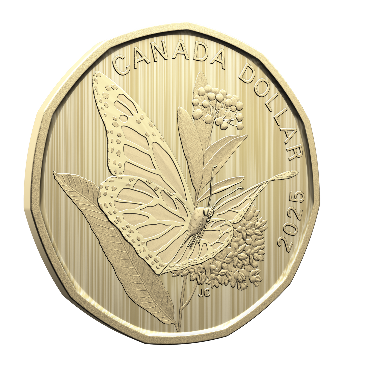 2025 Canada Conservation Stories: Monarch Butterfly Specimen Set