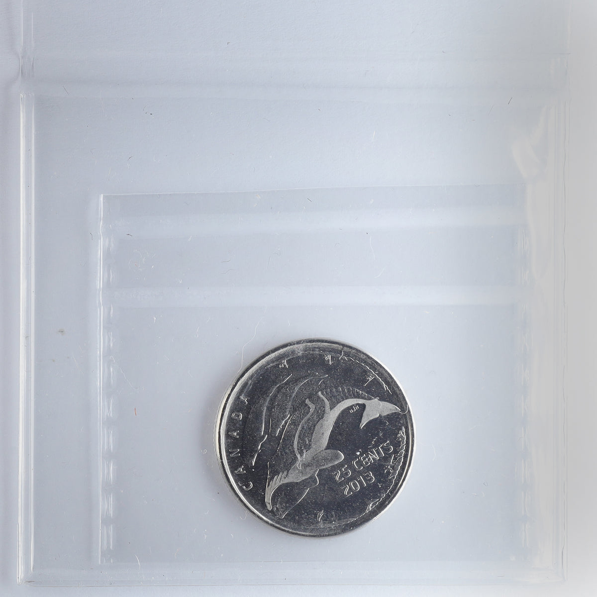 2013 Frosted Whale (Type A) Life in the North Canada 25-cents ICCS Certified MS64