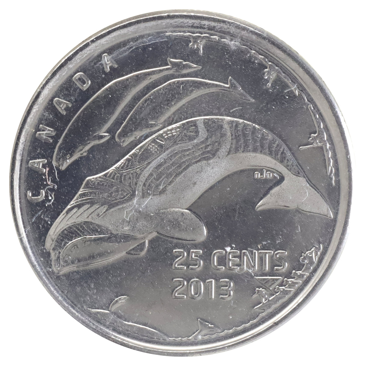 2013 Frosted Whale (Type A) Life in the North Canada 25-cents ICCS Certified MS64