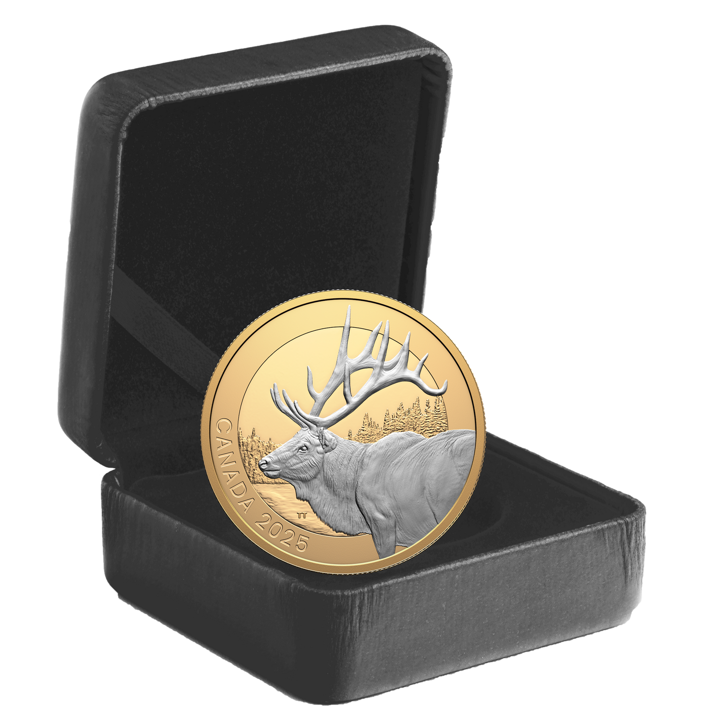 2025 Canada $20 Animal Portraits: Elk Fine Silver (No Tax)