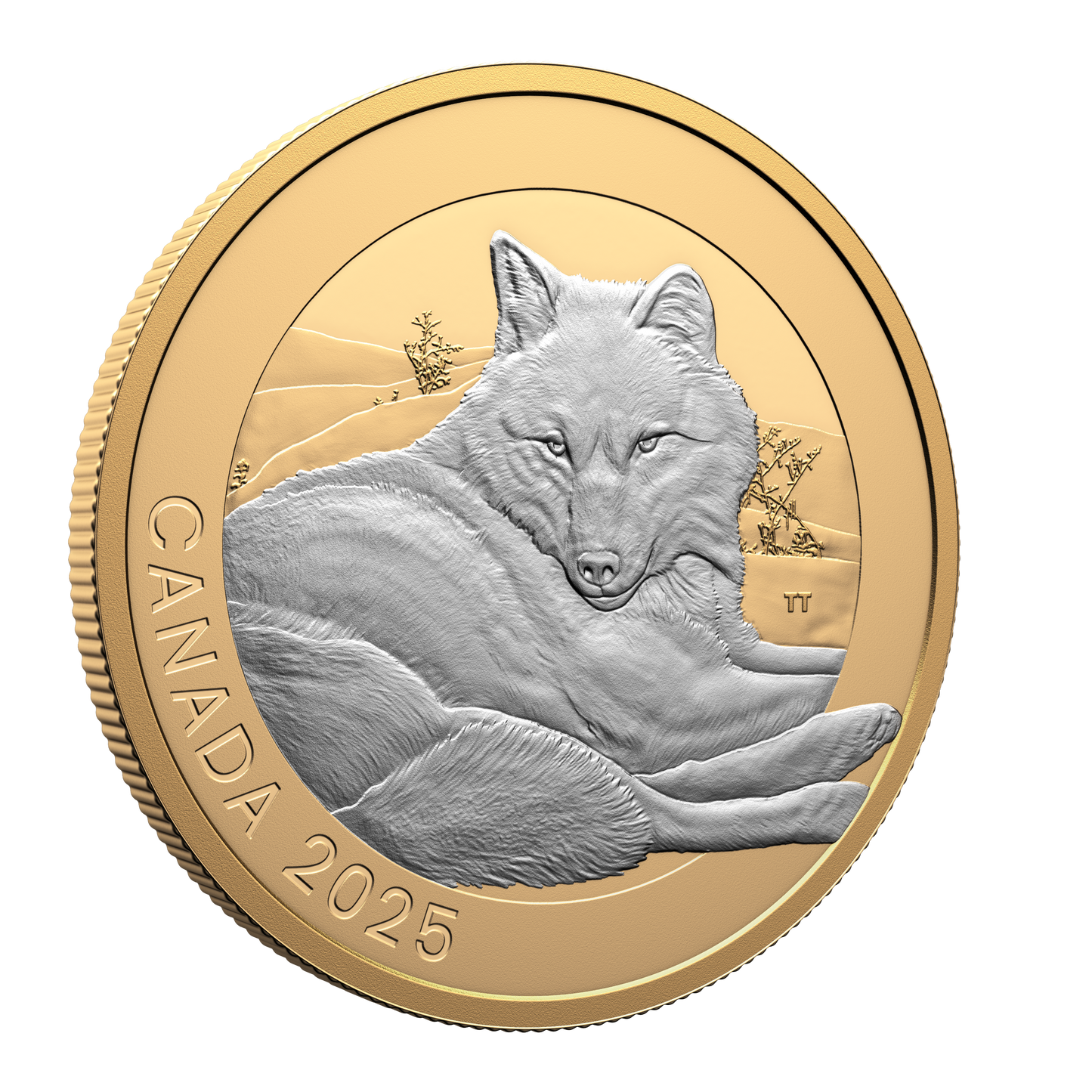 2025 Canada $20 Animal Portraits: Grey Wolf Fine Silver (No Tax)