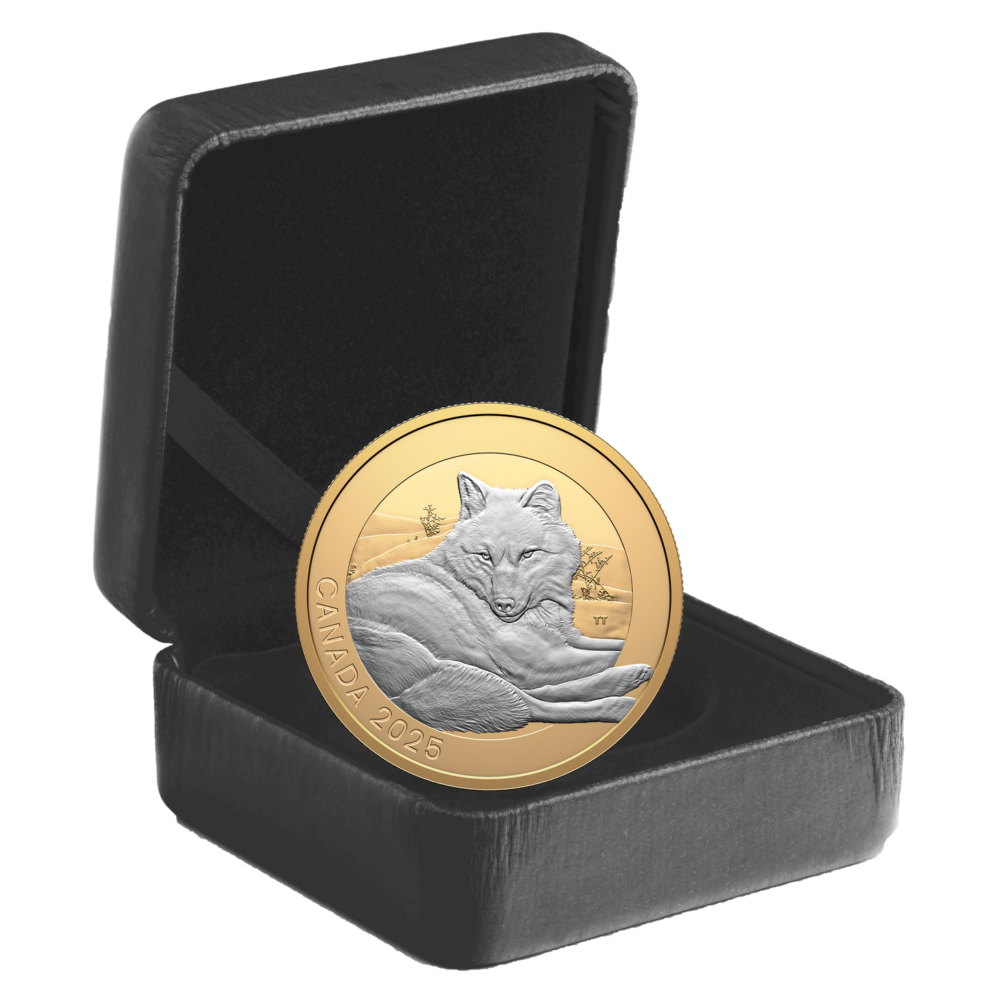 2025 Canada $20 Animal Portraits: Grey Wolf Fine Silver (No Tax)