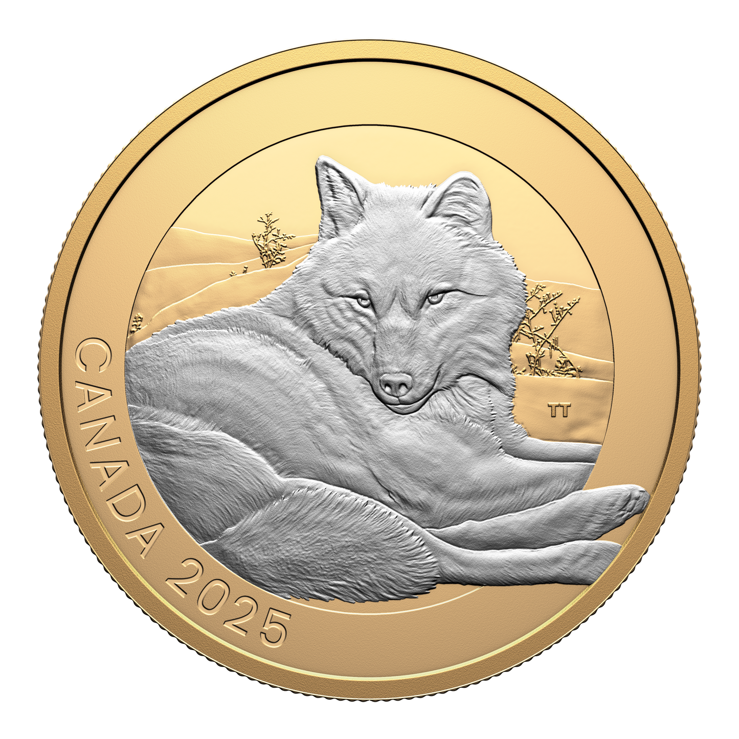 2025 Canada $20 Animal Portraits: Grey Wolf Fine Silver (No Tax)