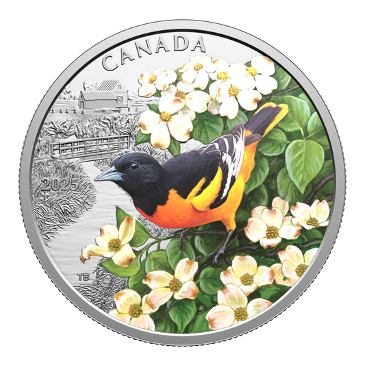 2025 Canada $20 Colourful Birds: Baltimore Oriole Fine Silver Coin (No Tax)