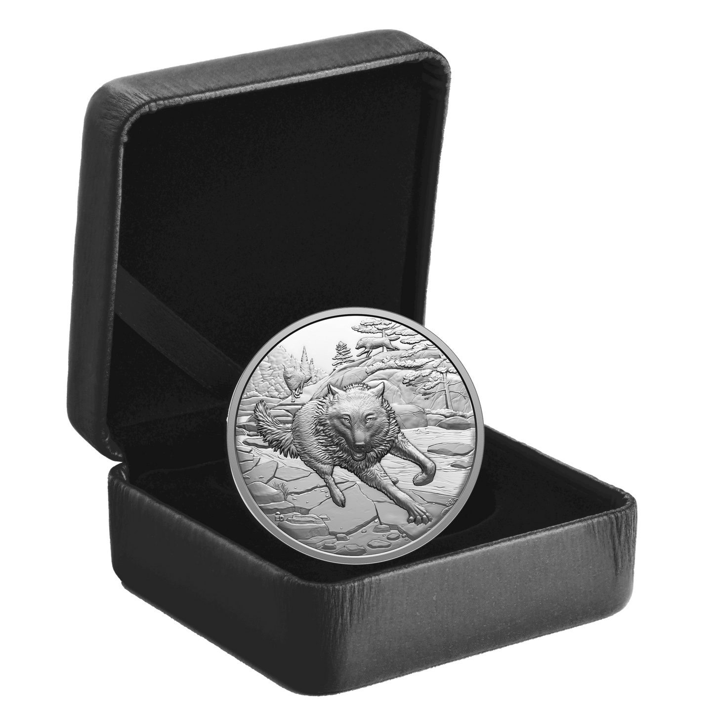 2025 Canada $20 Great Hunters: Grey Wolf Ultra-High Relief Fine Silver Coin (No Tax)