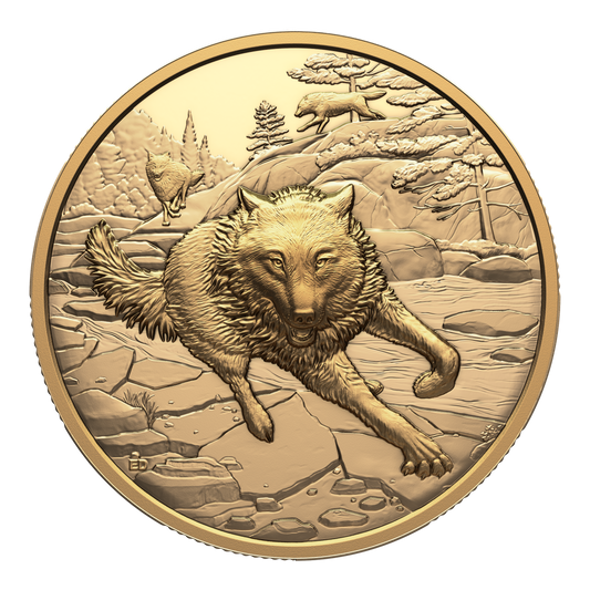 2025 Canada $200 Great Hunters: Grey Wolf Ultra High Relief Pure Gold Coin (No Tax)