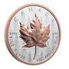 RDC 2025 Canada $20 Ultra-High Relief 1oz. SML Fine Silver Coin (No Tax) impaired