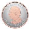 RDC 2025 Canada $20 Ultra-High Relief 1oz. SML Fine Silver Coin (No Tax) impaired