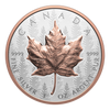 RDC 2025 Canada $20 Ultra-High Relief 1oz. SML Fine Silver Coin (No Tax) impaired