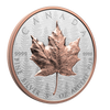 2025 Canada $50 Ultra-High Relief 5oz. Fine Silver (No Tax)