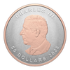 2025 Canada $50 Ultra-High Relief 5oz. Fine Silver (No Tax)