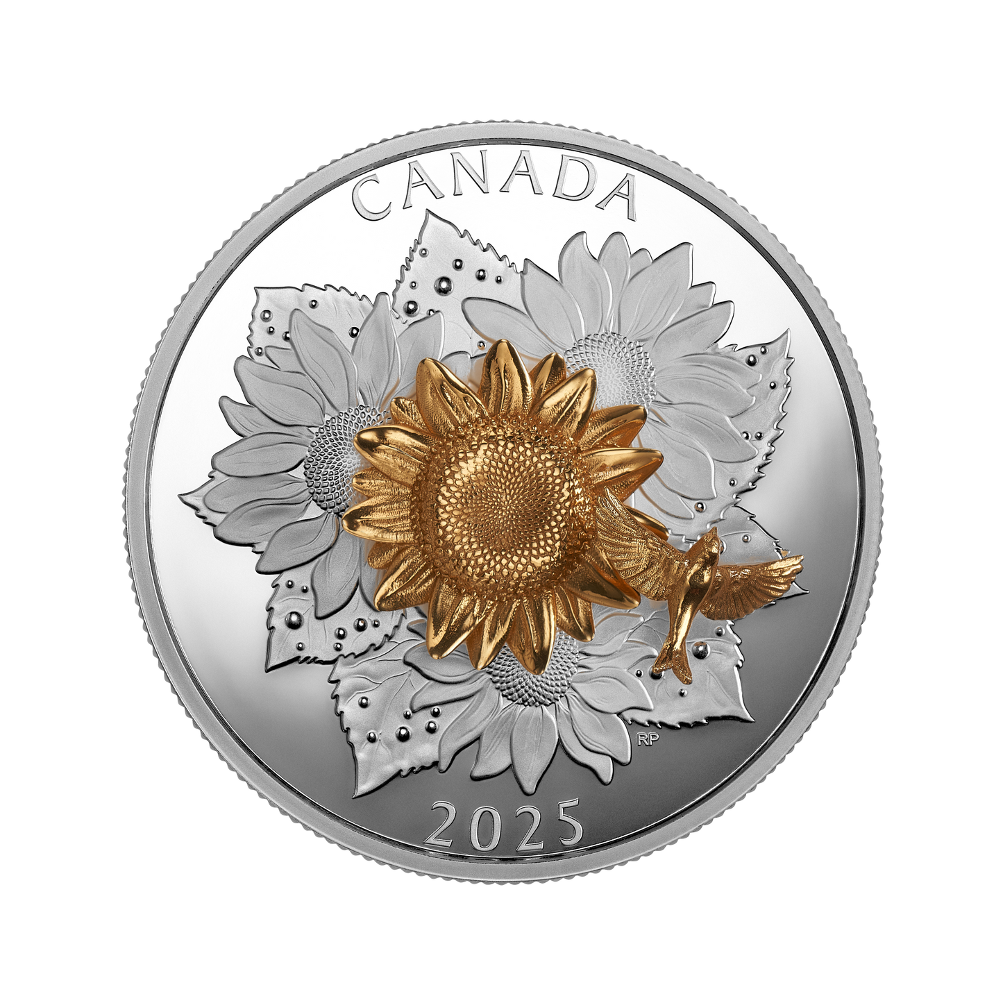 2025 Canada $50 The Goldfinch and the Bloom Fine Silver Coin
