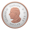 2026 Canada 100th Anniversary of the Royal Canadian Legion Fine Silver Proof Set (No Tax)