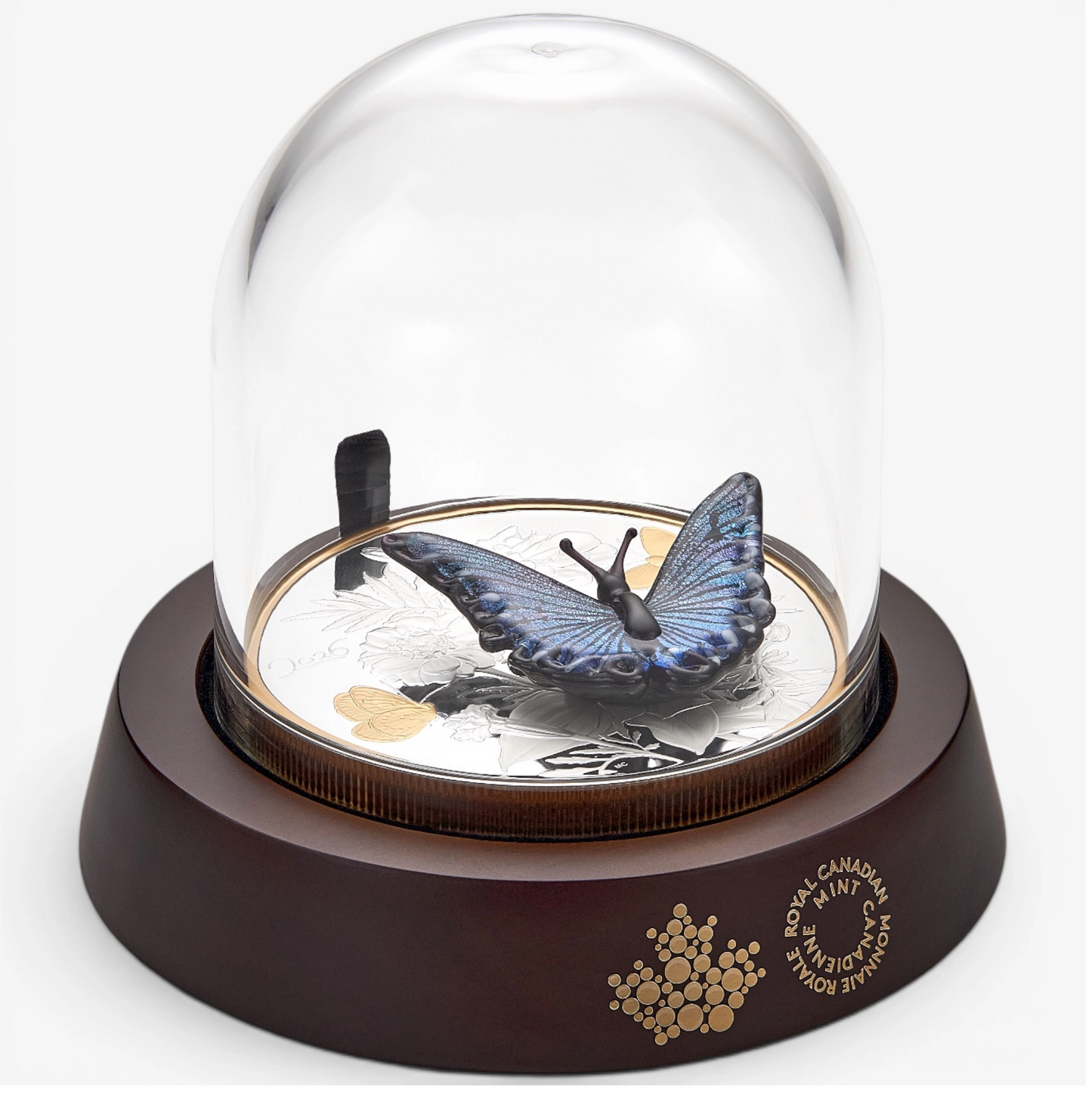 (Pre-Order) 2026 Canada $125 Murano Silvery Blue Butterfly Fine Silver Coin