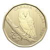 2026 Canada Barn Owl Loon Dollar Specimen