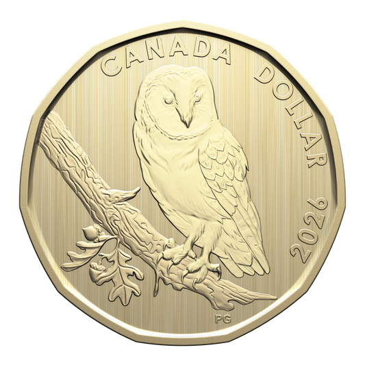 2026 Canada Barn Owl Loon Dollar Specimen