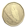 2026 Canada Barn Owl Loon Dollar Specimen