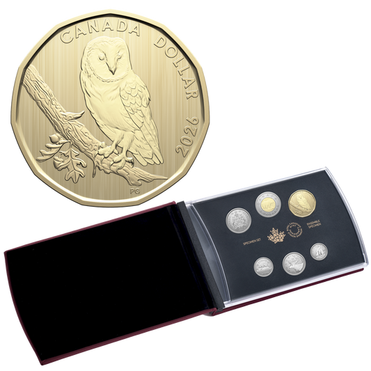 2026 Canada Conservation Stories: Barn Owl Specimen Set