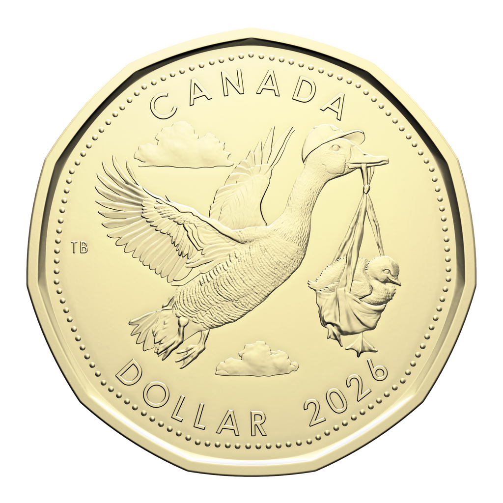 2026 Baby Canada Loon Dollar Brilliant Uncirculated (MS63)