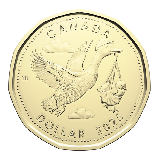 2026 Baby Canada Loon Dollar Brilliant Uncirculated (MS63)