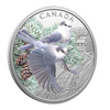 (Pre-Order) 2026 Canada $20 Colourful Birds: Canada Jays Fine Silver (No Tax)